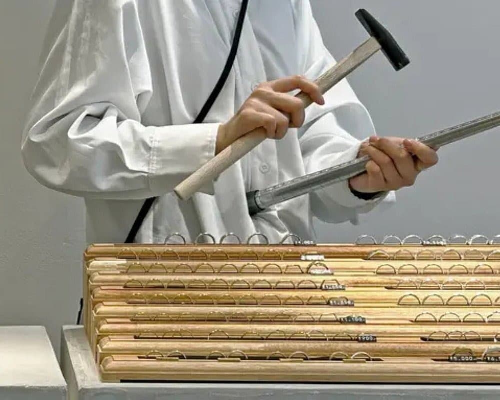 Nuestros anillos en Japón